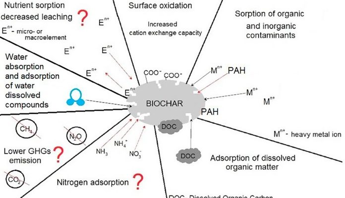 Ủ phân hữu cơ bổ sung than sinh học