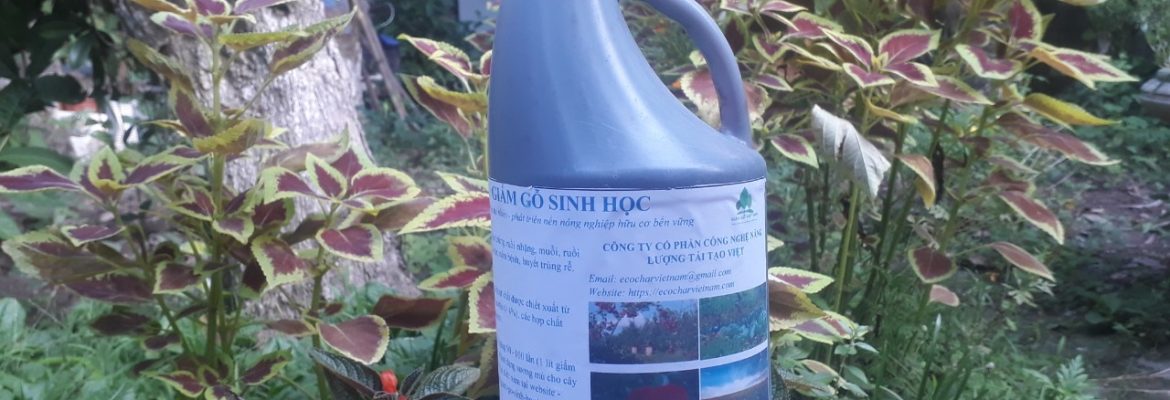 Giấm gỗ sinh học Việt Nam